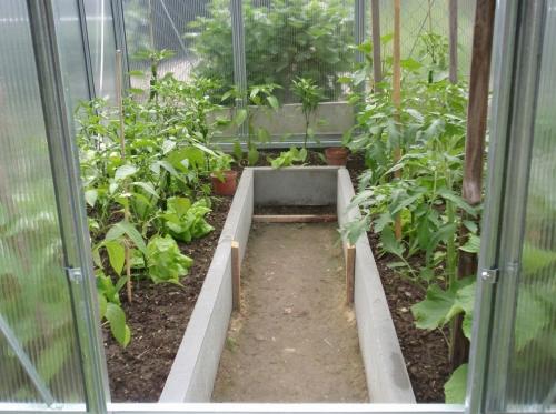 üvegház LANITPLAST LIMES Viva V6/3 1,97x3 m PC 4 mm