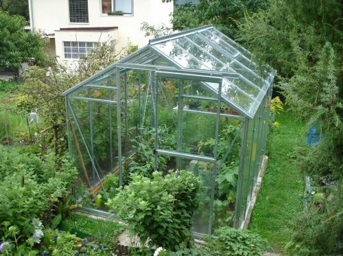 üvegház LANITPLAST LIMES Viva V6/3 1,97x3 m tiszta üveg 3 mm