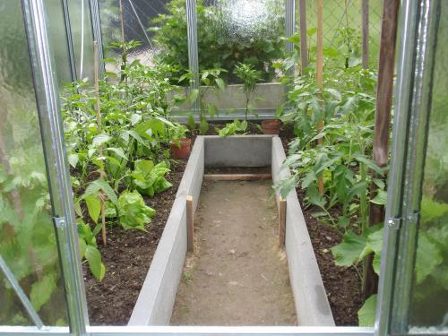 üvegház LANITPLAST LIMES Viva V6/3 1,97x3 m tiszta üveg 3 mm