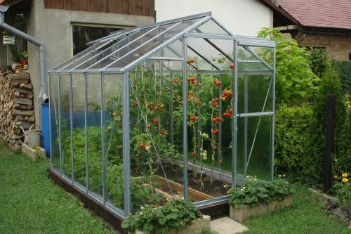 üvegház LANITPLAST LIMES Viva V6/4 1,97x4 m tiszta üveg 3 mm