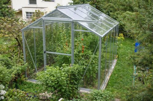 üvegház LANITPLAST LIMES Viva V6/4 1,97x4 m tiszta üveg 3 mm