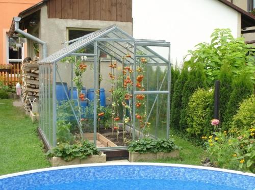 üvegház LANITPLAST LIMES Viva V6/4 1,97x4 m tiszta üveg 3 mm