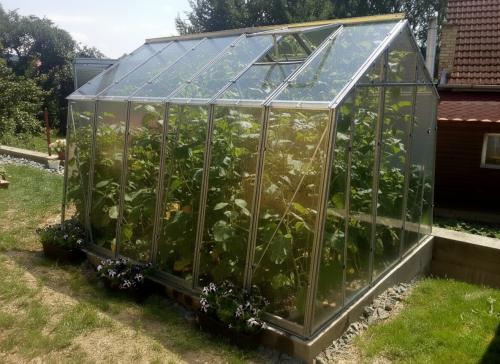 üvegház LANITPLAST LIMES Viva V7/3 2,47x3 m tiszta üveg 3 mm